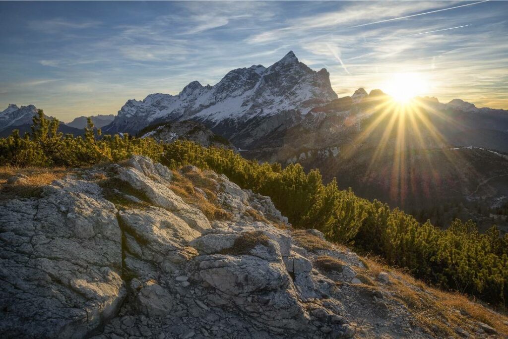 A mountain range with trees and sun shining in the background.